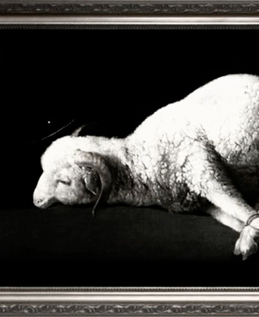 ⋆♱ OLI G AFFILIATE LINK ˚₊‧ thumbnail