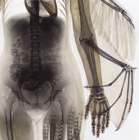 PERSONAL IG ⋆♱✮♱⋆ thumbnail