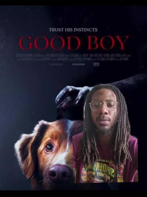 Good Boy and why it works #moviereview #goodboy #horrorfilm #horror #movies 