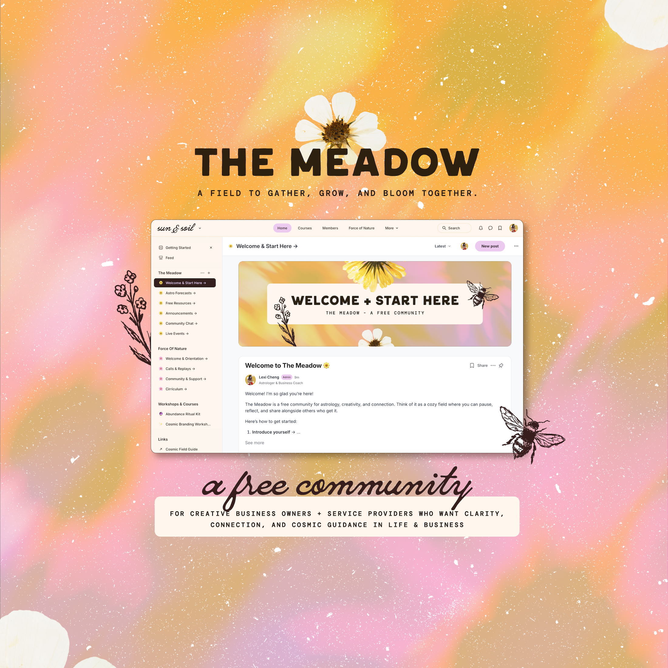 [FREE COMMUNITY] The Meadow thumbnail