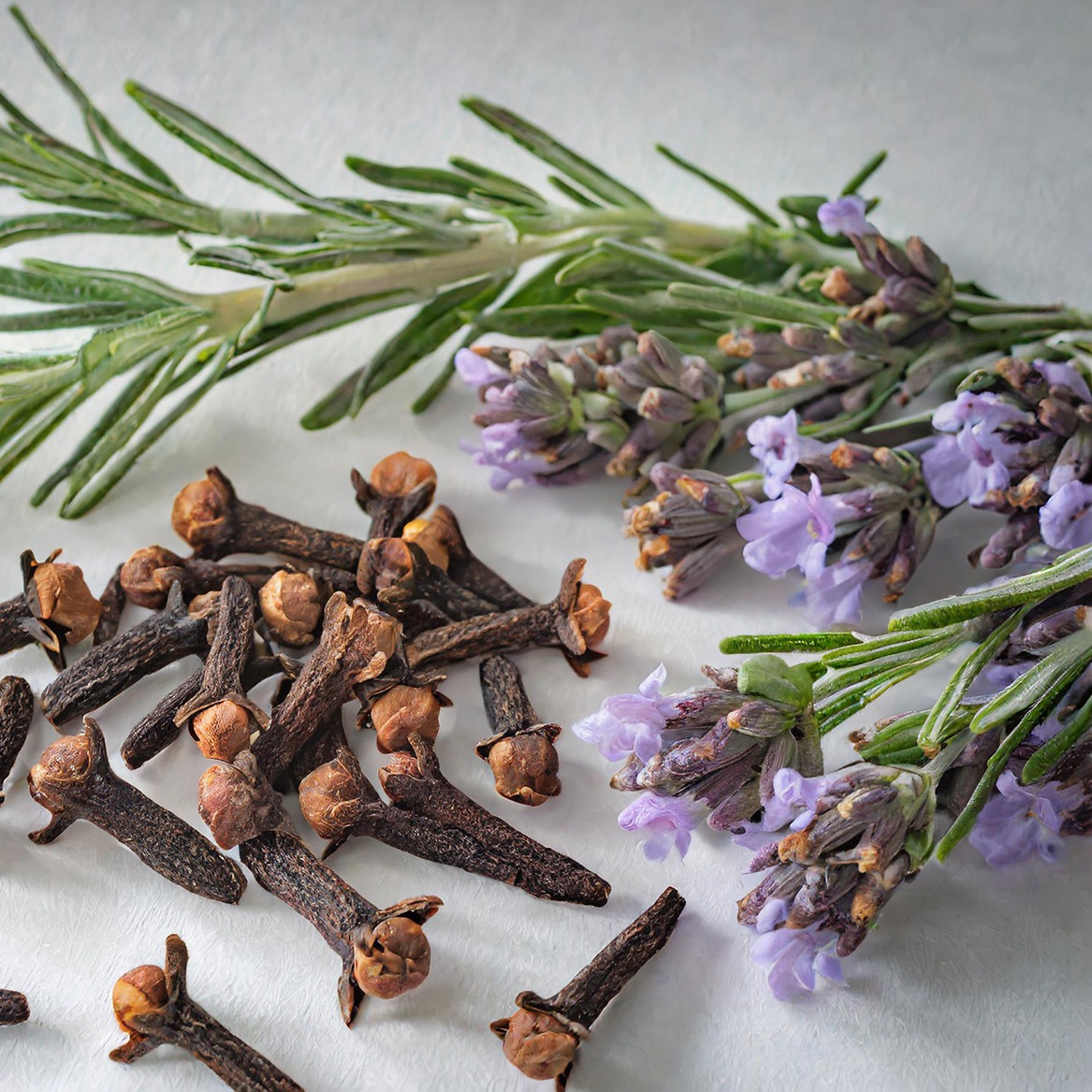 Our Ingredients thumbnail