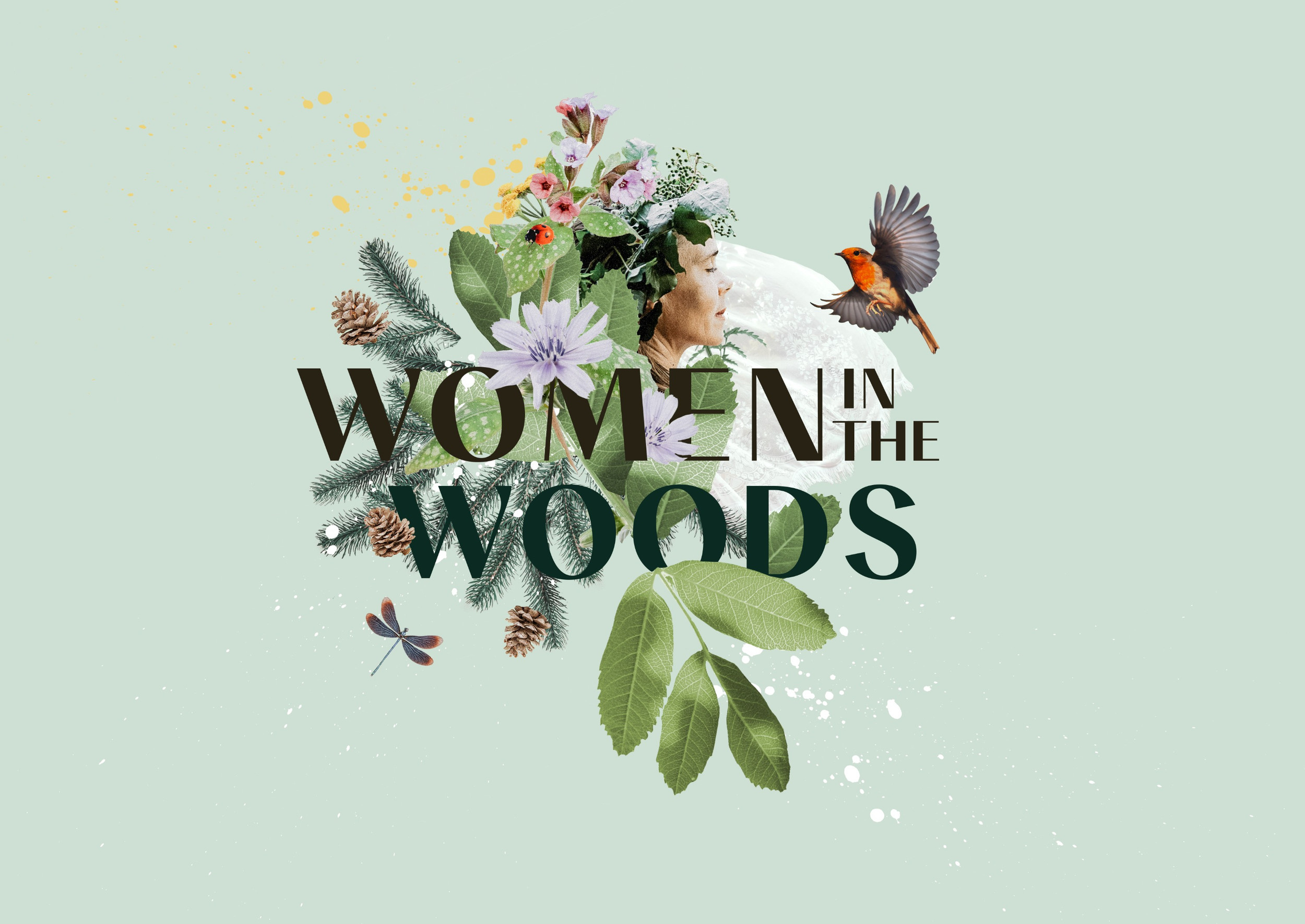 WOMEN IN THE WOODS thumbnail