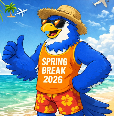 Traveling Nighthawk Photos thumbnail