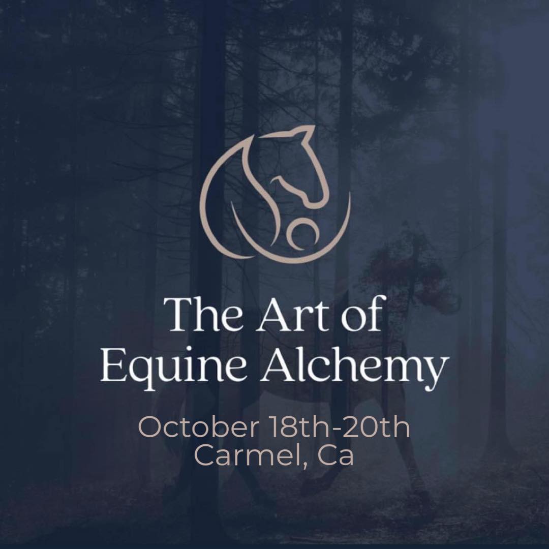The Art of Equine Alchemy - Event in Carmel, California, October 18th-20th 2024 thumbnail