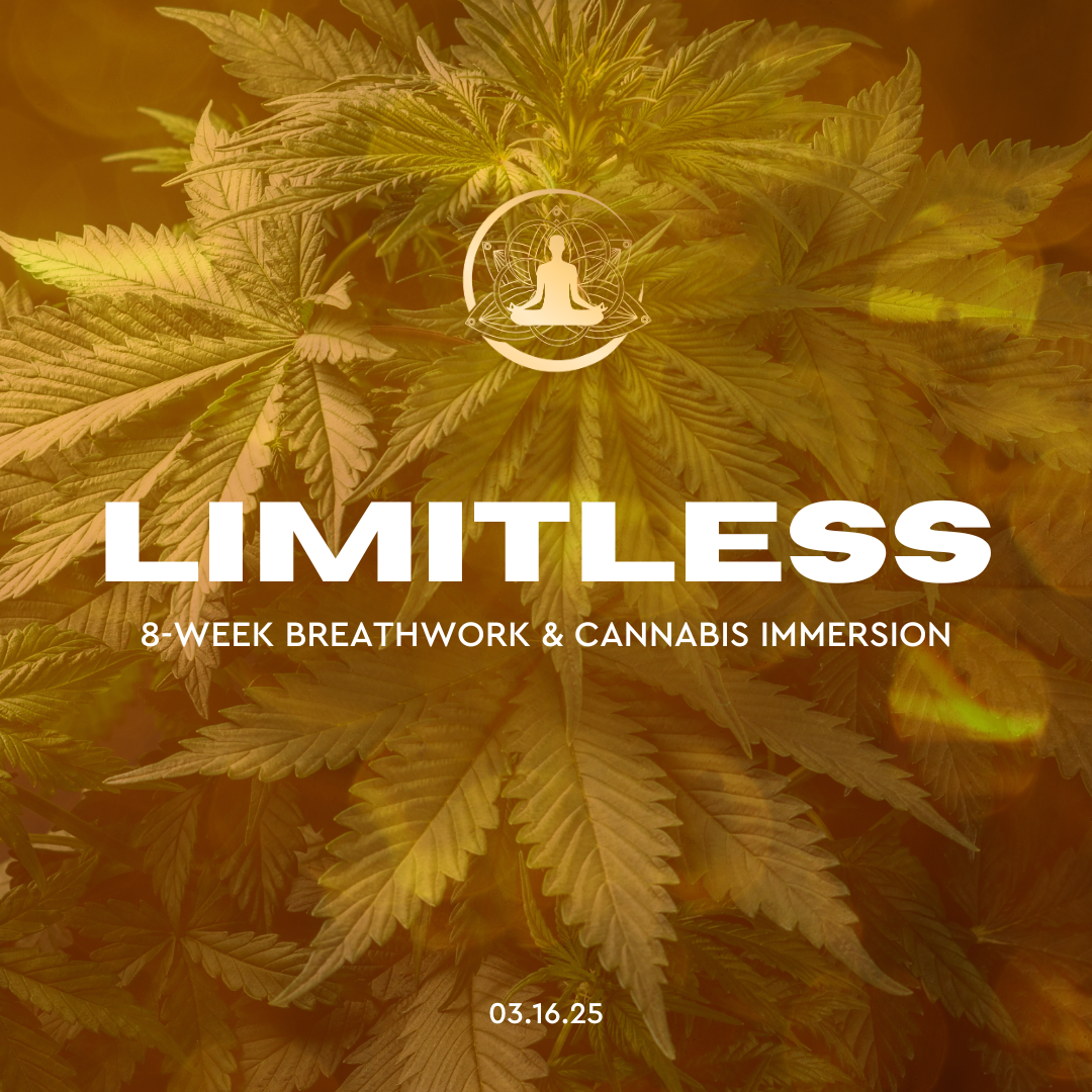 Limitless: 8-Week Breathwork & Cannabis Immersion thumbnail