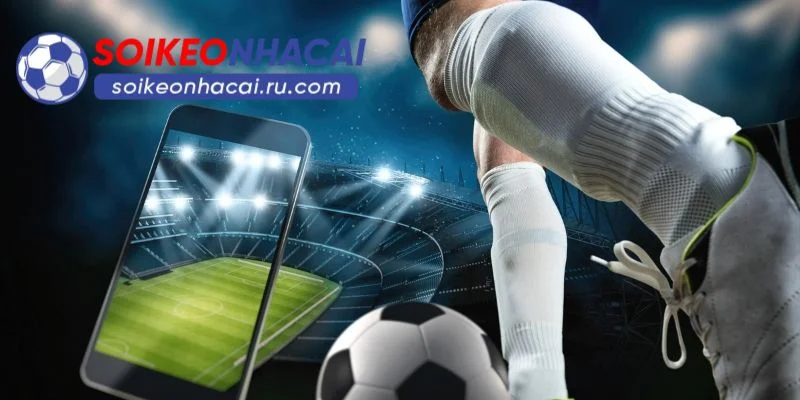 Soi kèo nhà cái | Tỷ kệ ăn cực cao, soi kèo uy tín hàng đầu thumbnail