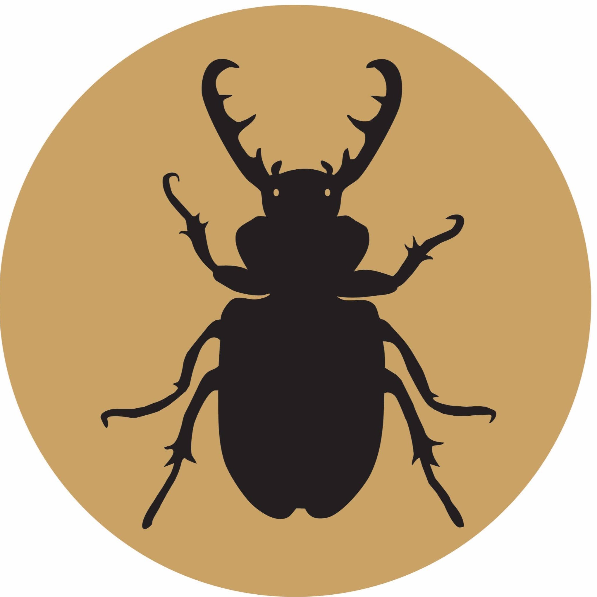 Metabolic Studios: Un-Developing the LA Basin thumbnail