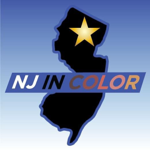         NJInColor.com Website thumbnail