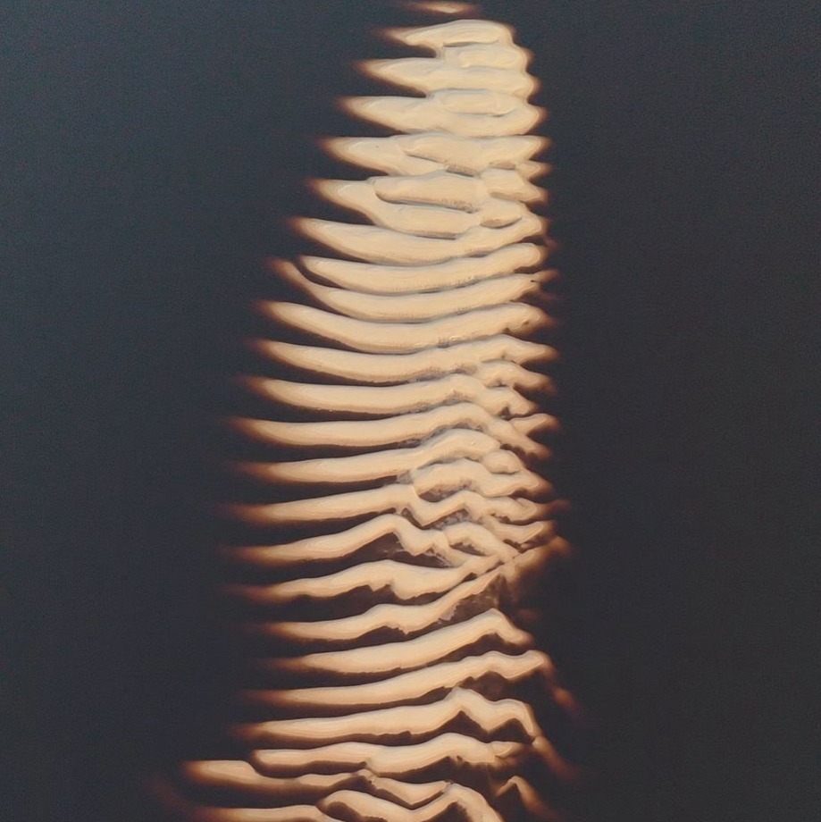 Anavilhanas: Um dos maiores arquipélagos de água doce do planeta no coração da Amazônia thumbnail