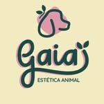 Nosso Site thumbnail