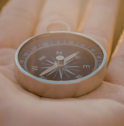 Survival Guide thumbnail