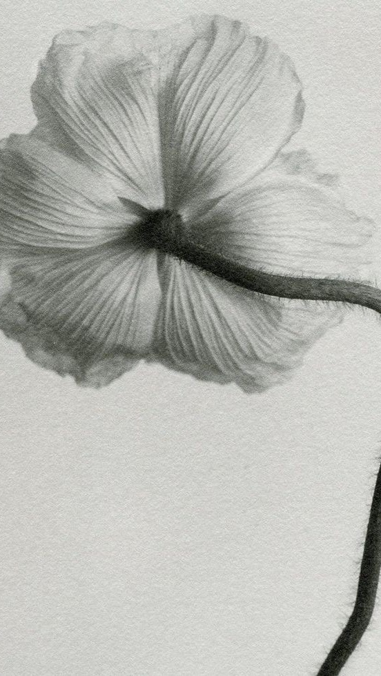 Taking you behind the scenes as we build a client proposal in Figma. 

#ClientProposal #figmadesign #branddesign