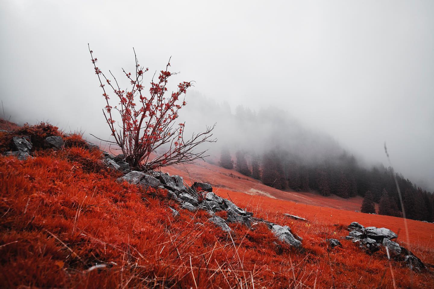 I love taking random roads in the mountains and ending up to location I wouldn’t have found otherwise. I was wandering a