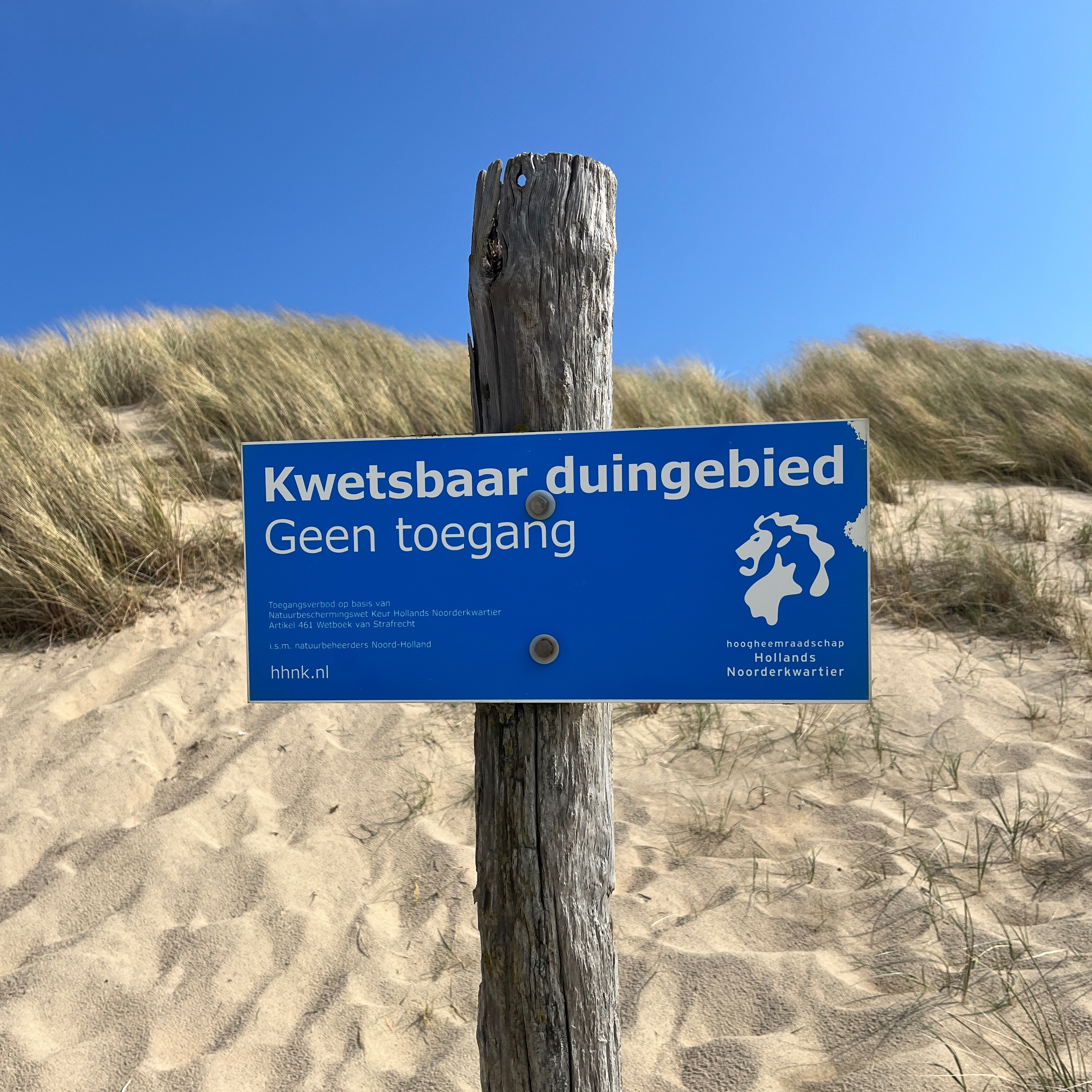 Read: 5 tips for a carefree beach day in NL thumbnail