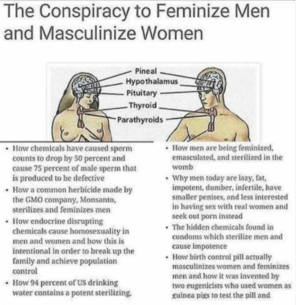 Endocrine Toxicology, Population Gendercide & Animal Foods: Please Share! thumbnail