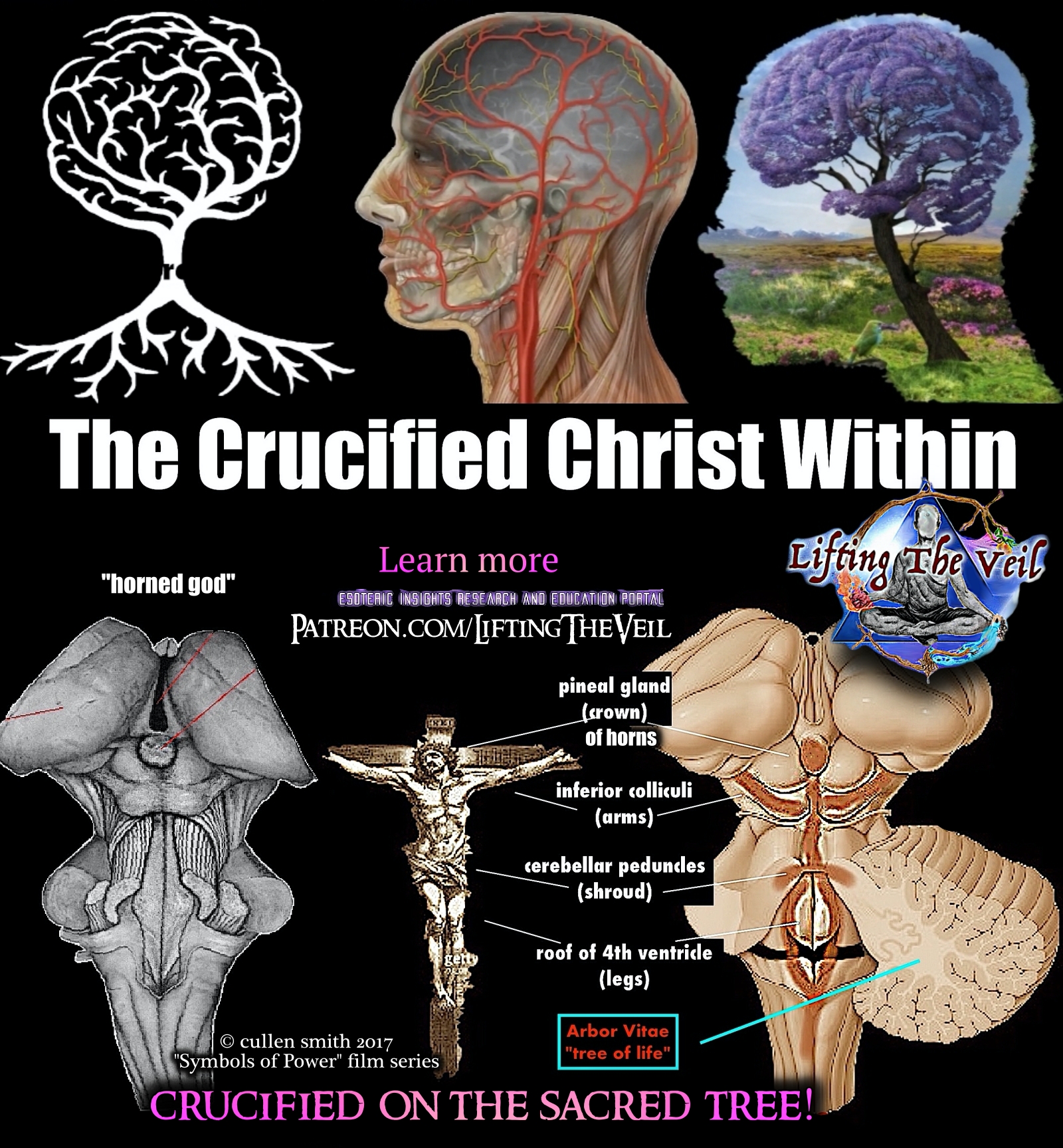 The Savior Within You! Esoteric Anatomy thumbnail