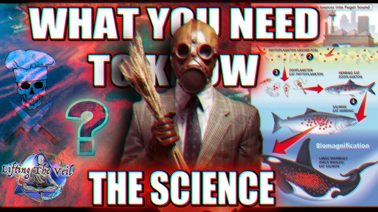 Endocrine Toxicology, Population Gendercide & Animal Foods: Please Share! ☣️🥩 🏳️‍🌈😵  thumbnail