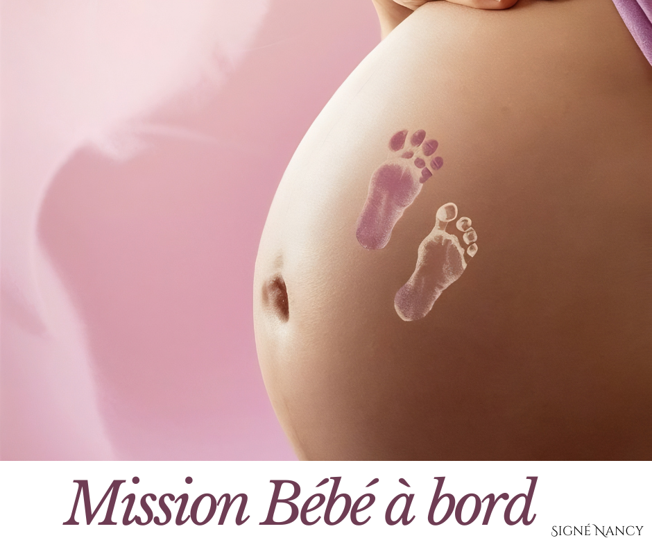 Mission Bébé à bord thumbnail