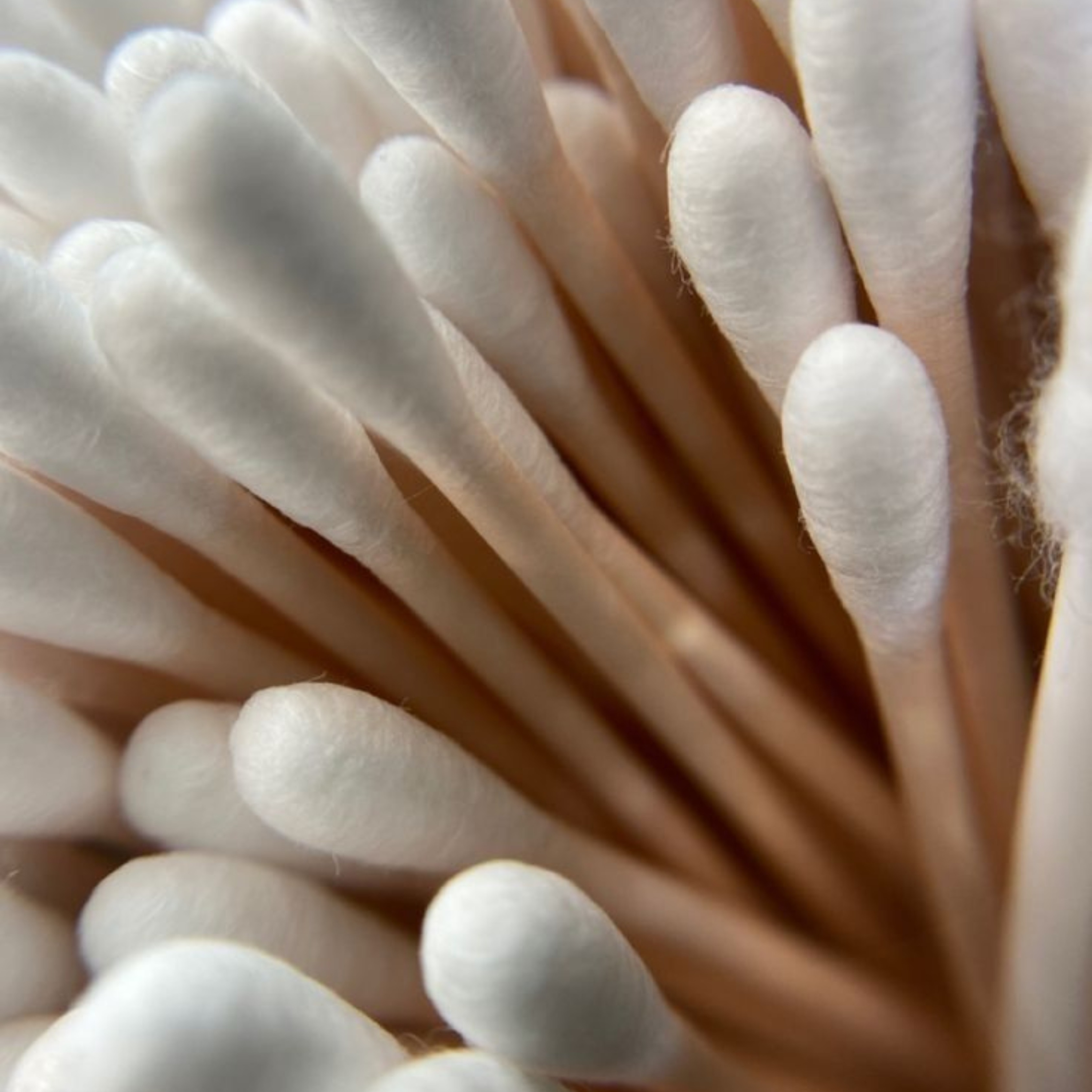 Lascia una recensione thumbnail