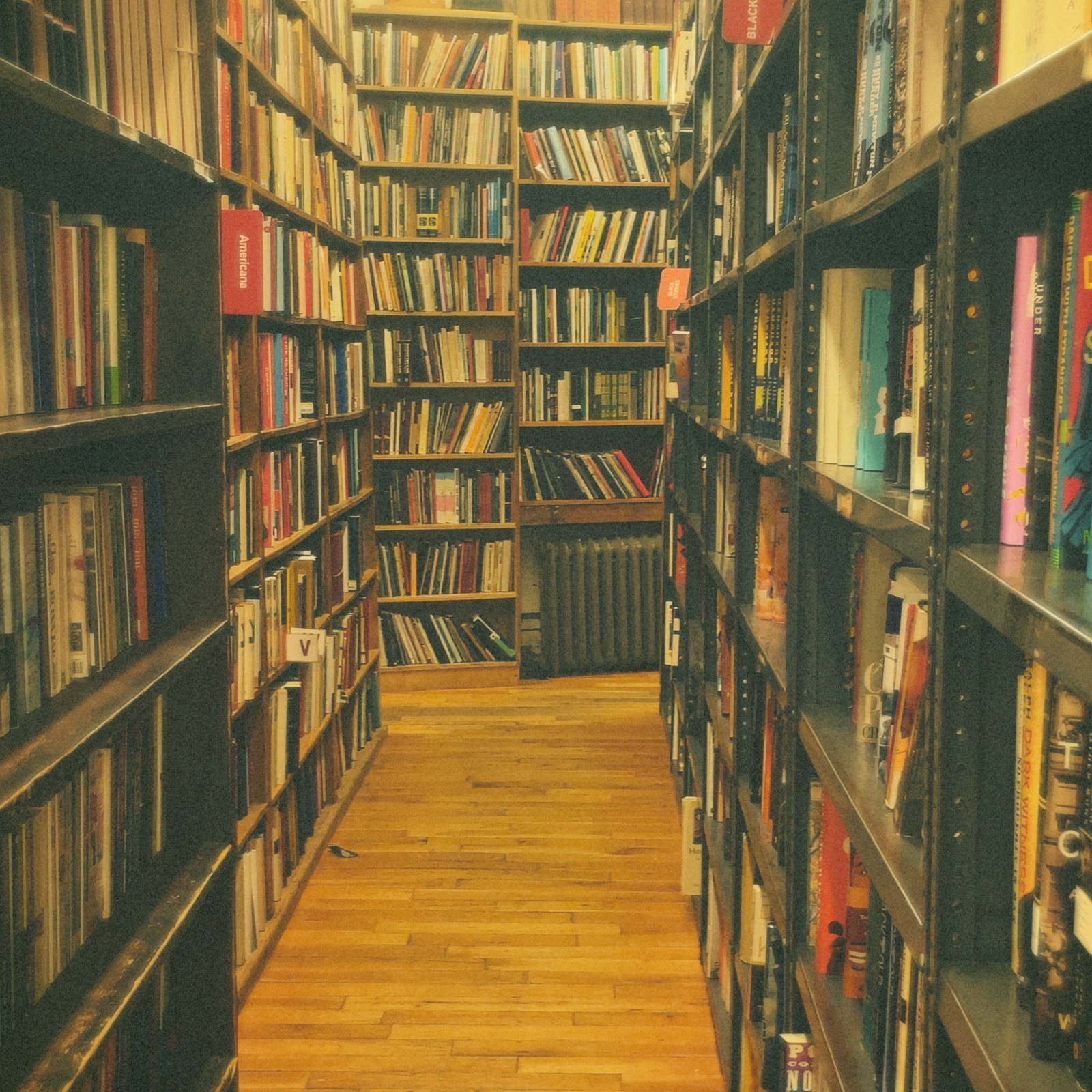 Study Hall - Newsletter  thumbnail