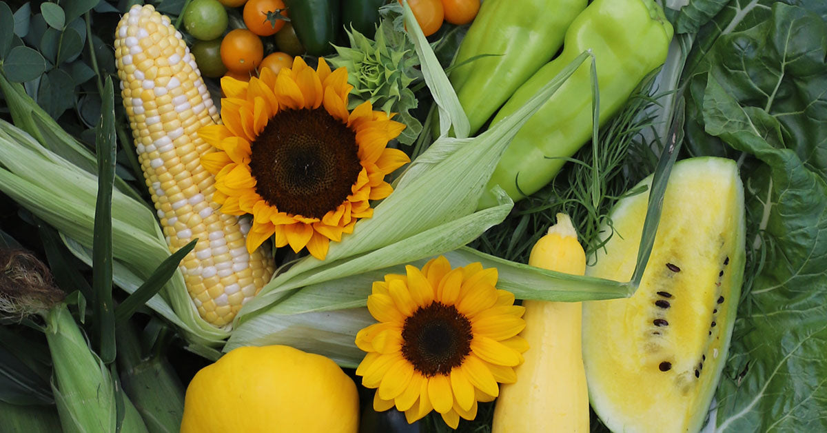 Harris Seeds: Use Code CLOVERHS5 for 5% off your order thumbnail