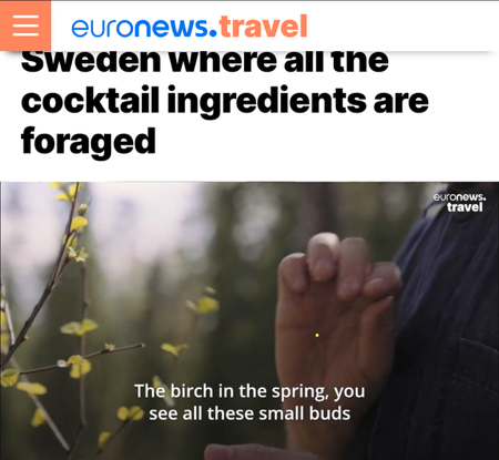 Euronews Discover the Forest Bar thumbnail