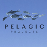 Pelagic Projects thumbnail