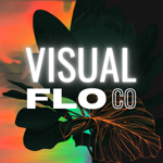 VISUALFLO thumbnail