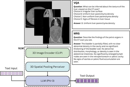 M3: multimodal artificial intelligence for medical report generation and visual question answering from 3D abdominal CT scans thumbnail
