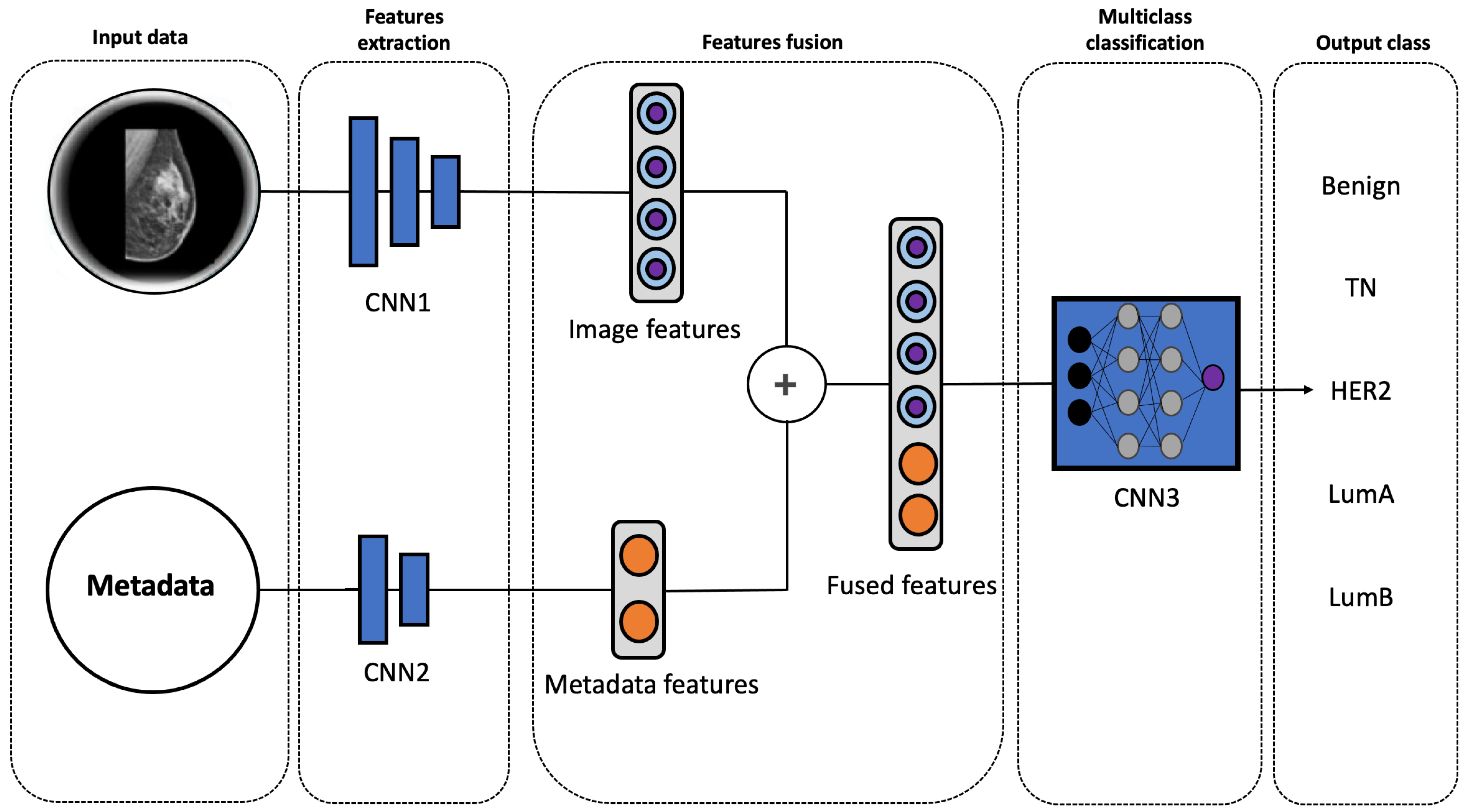 A Multimodal Deep Learning Model for the Classification of Breast Cancer Subtypes thumbnail
