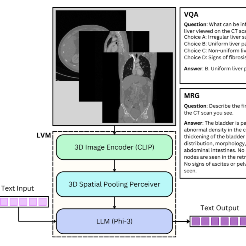 M3: Multimodal AI for Medical Report Generation and Visual Question Answering from 3D Abdominal CT Scans thumbnail