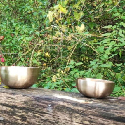 Sonothérapie le voyage des sons à Bulle | therapeutes.ch  thumbnail