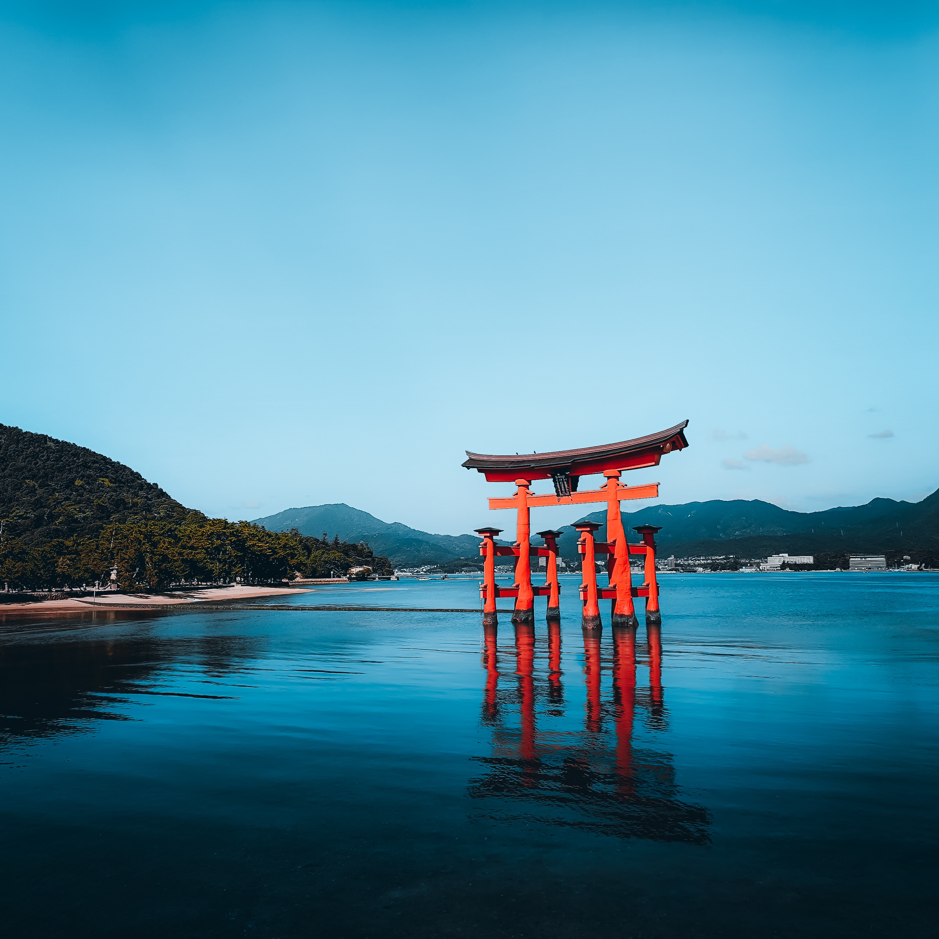 21-Day Japan Guide ⛩️ thumbnail