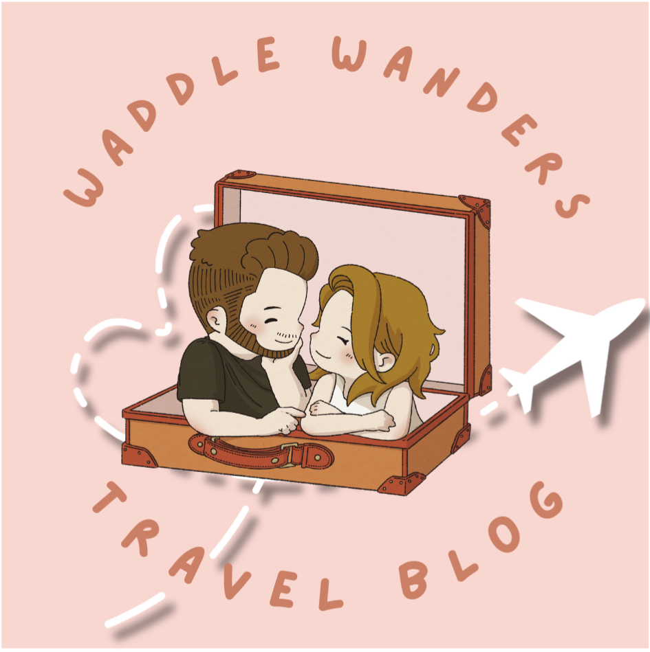 Travel Blog 🗺️  thumbnail