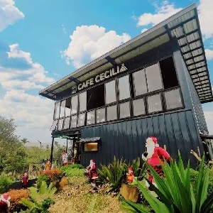 Cafe Cecilia thumbnail