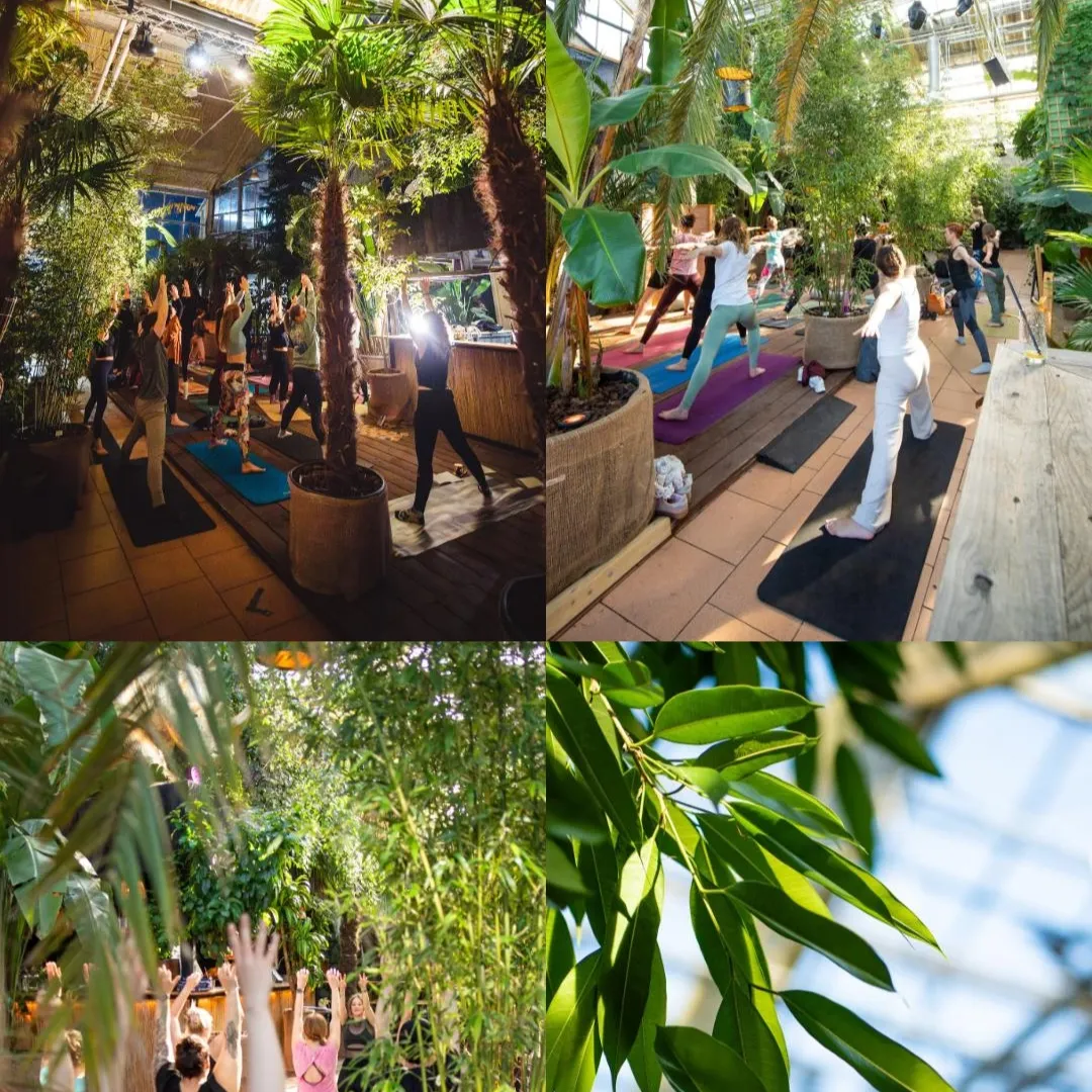 BLOOM & RISE 22.02.226 // Yoga & Sip unter Palmen | Straubing Eden01 thumbnail