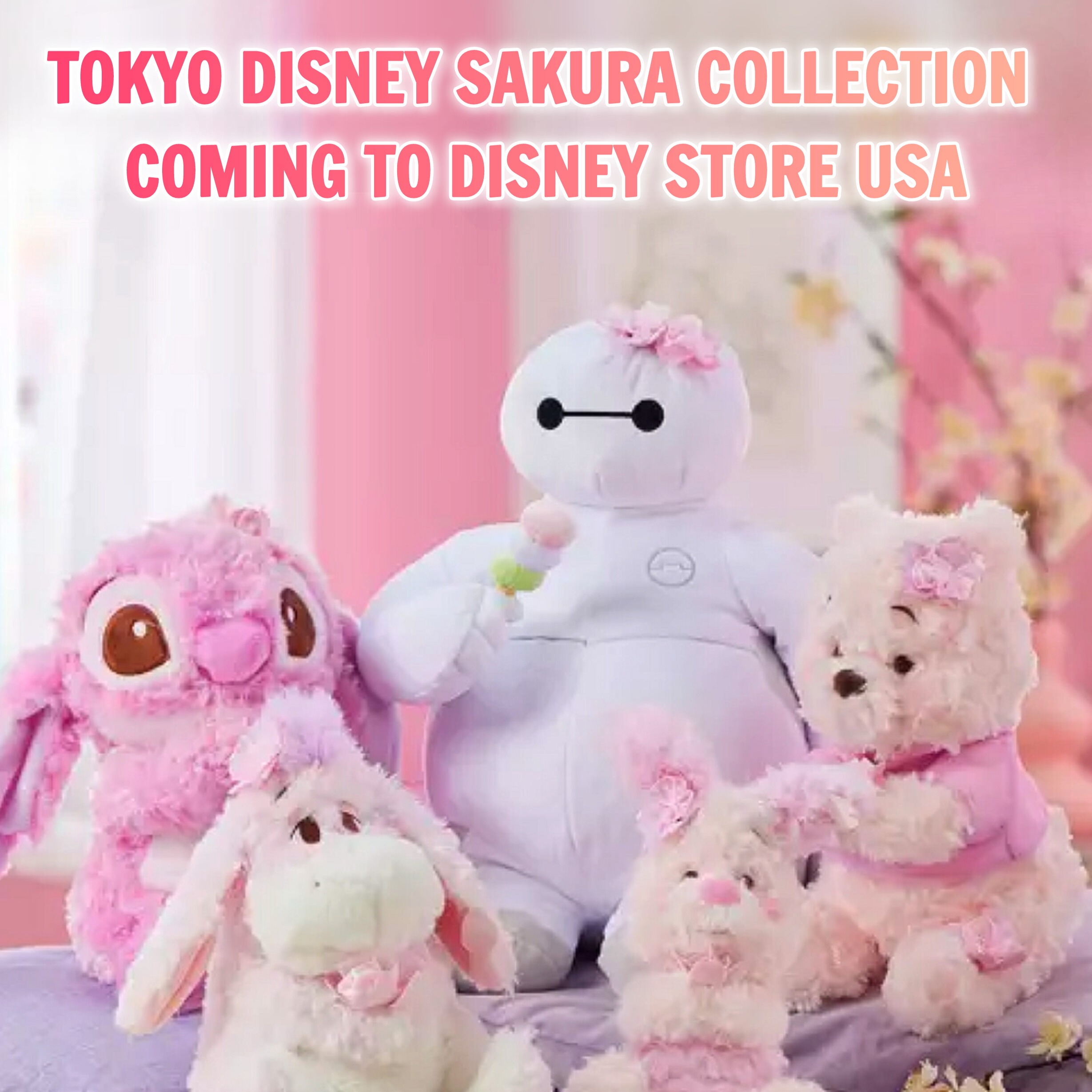 Tokyo Disney Sakura Collection Feb 18, 2025 thumbnail