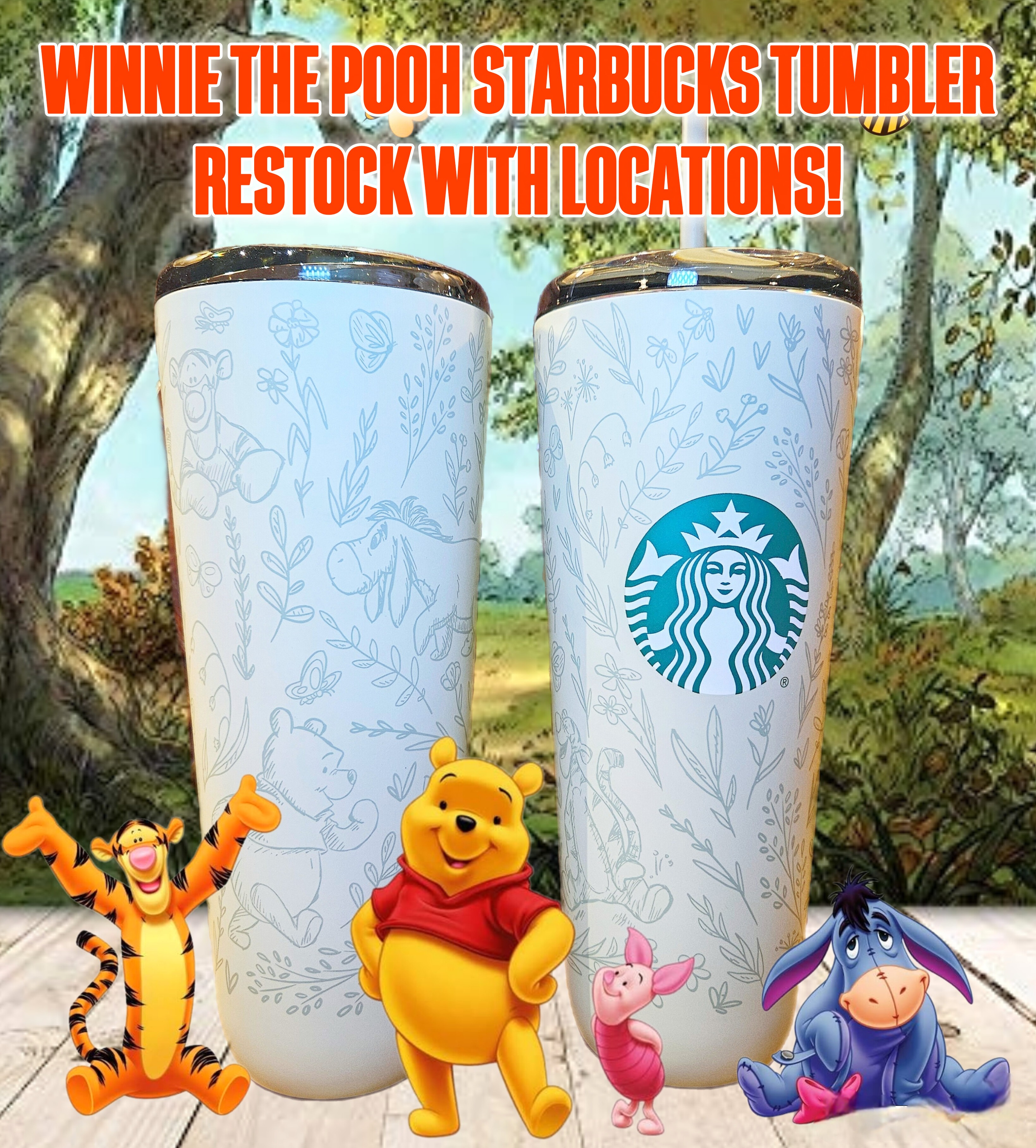 Winnie The pooh Disney Starbucks Tumbler Cups  thumbnail