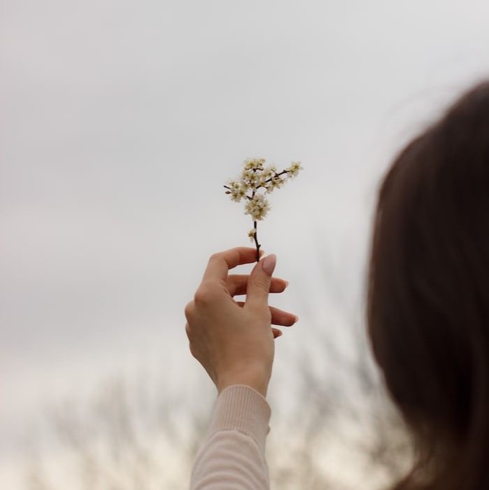 El BLOG para Terapeutas thumbnail