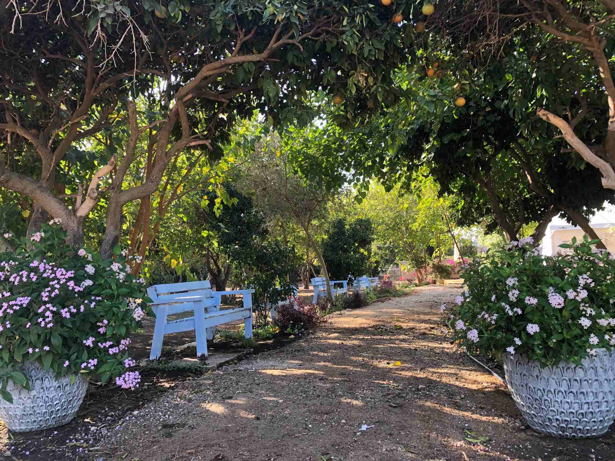 ׳ממשבר לצמיחה׳ סדנאות לקבוצות מאורגנות, חברות וארגונים thumbnail