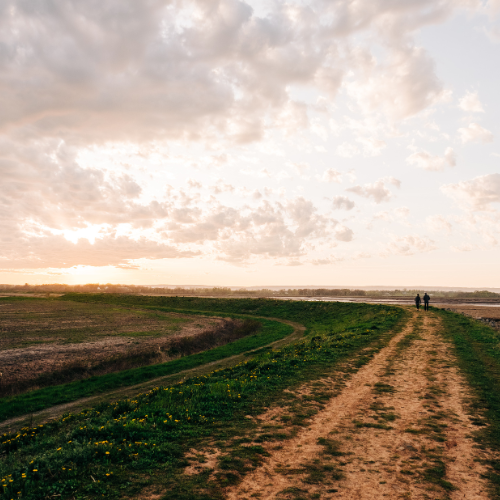 Discover our parks + trails thumbnail