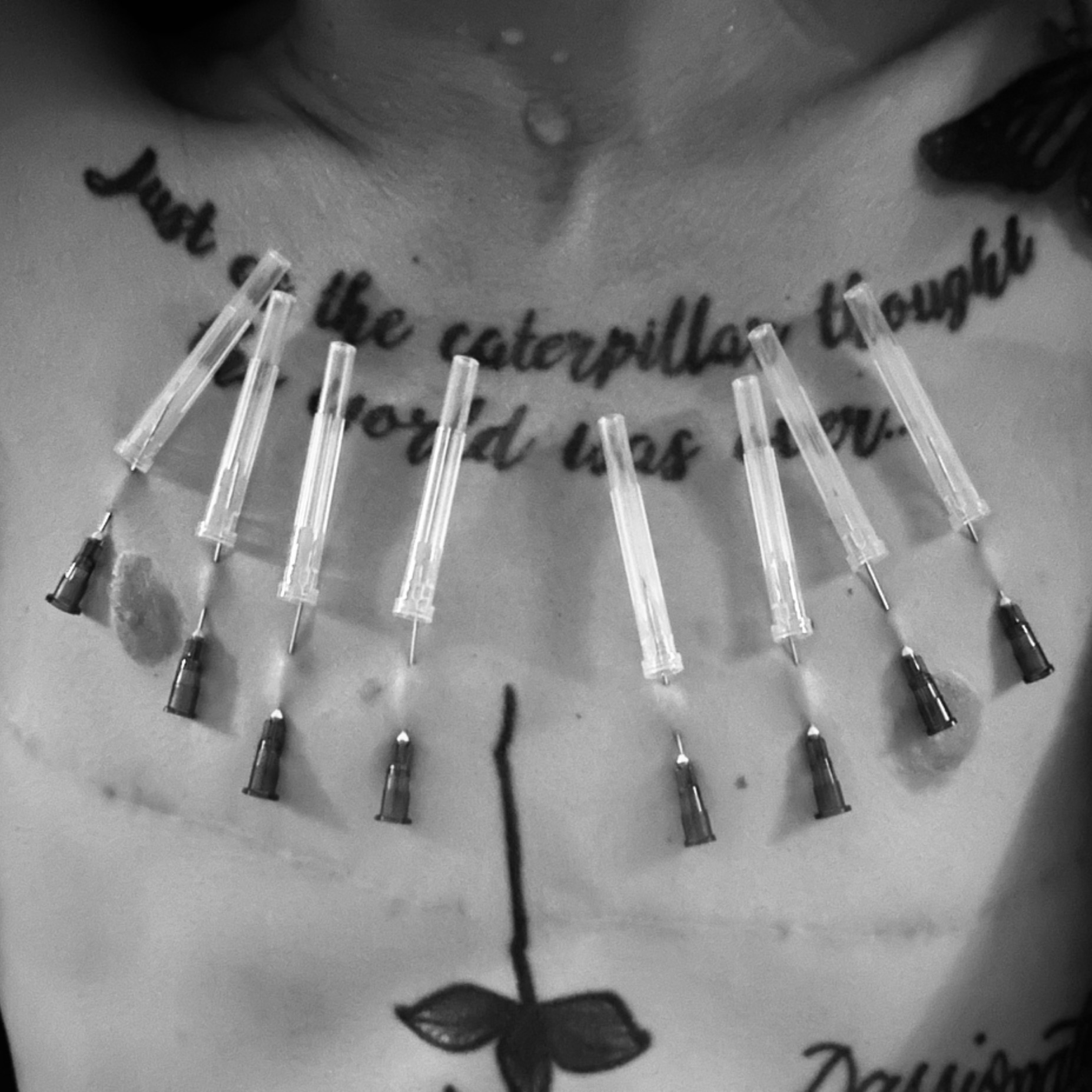 Clips4sale (coming soon) thumbnail