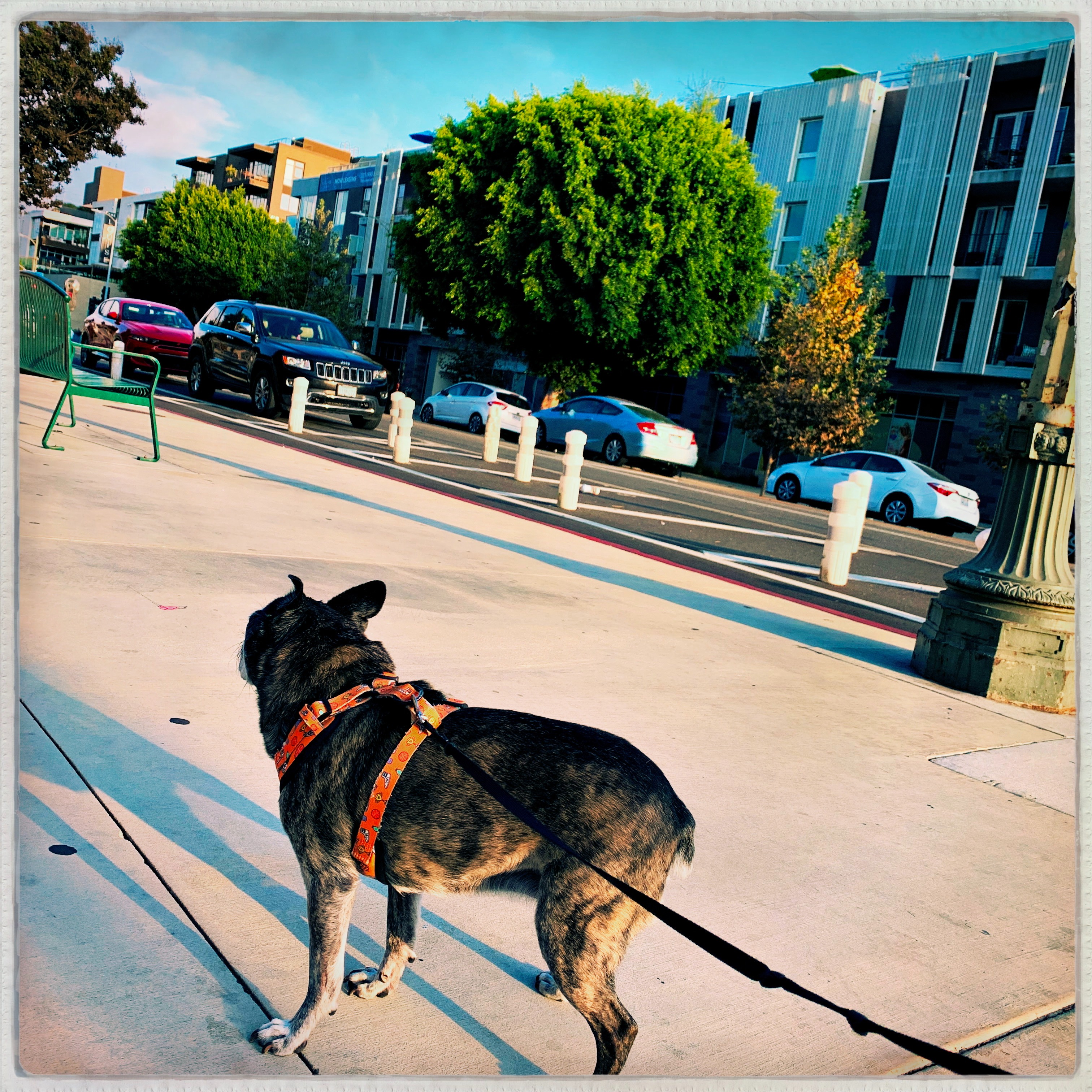 writing portfolio thumbnail