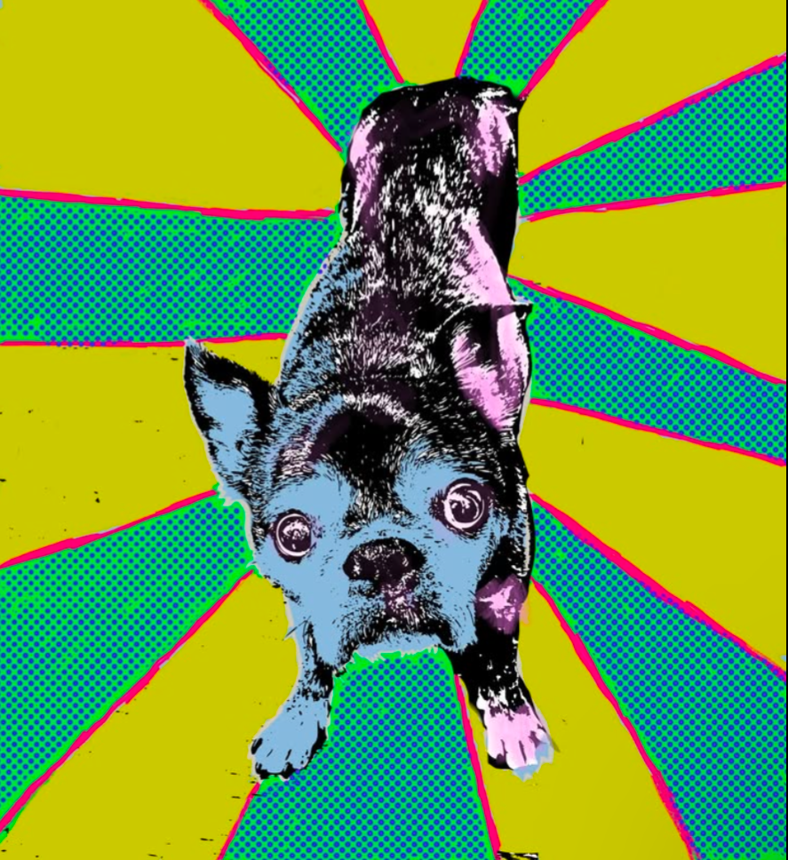 Book an appointment with me