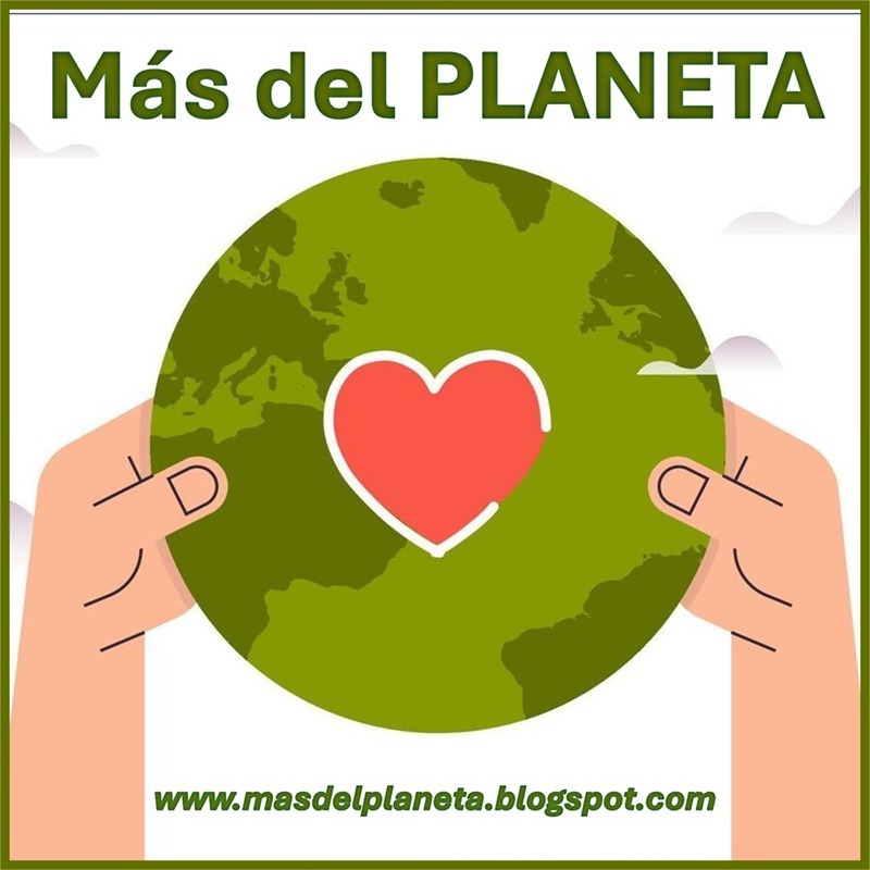 Más del Planeta thumbnail