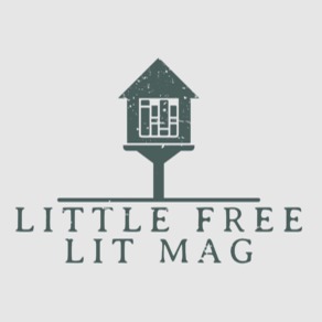 "Book Club Night" @ Little Free Lit Mag thumbnail