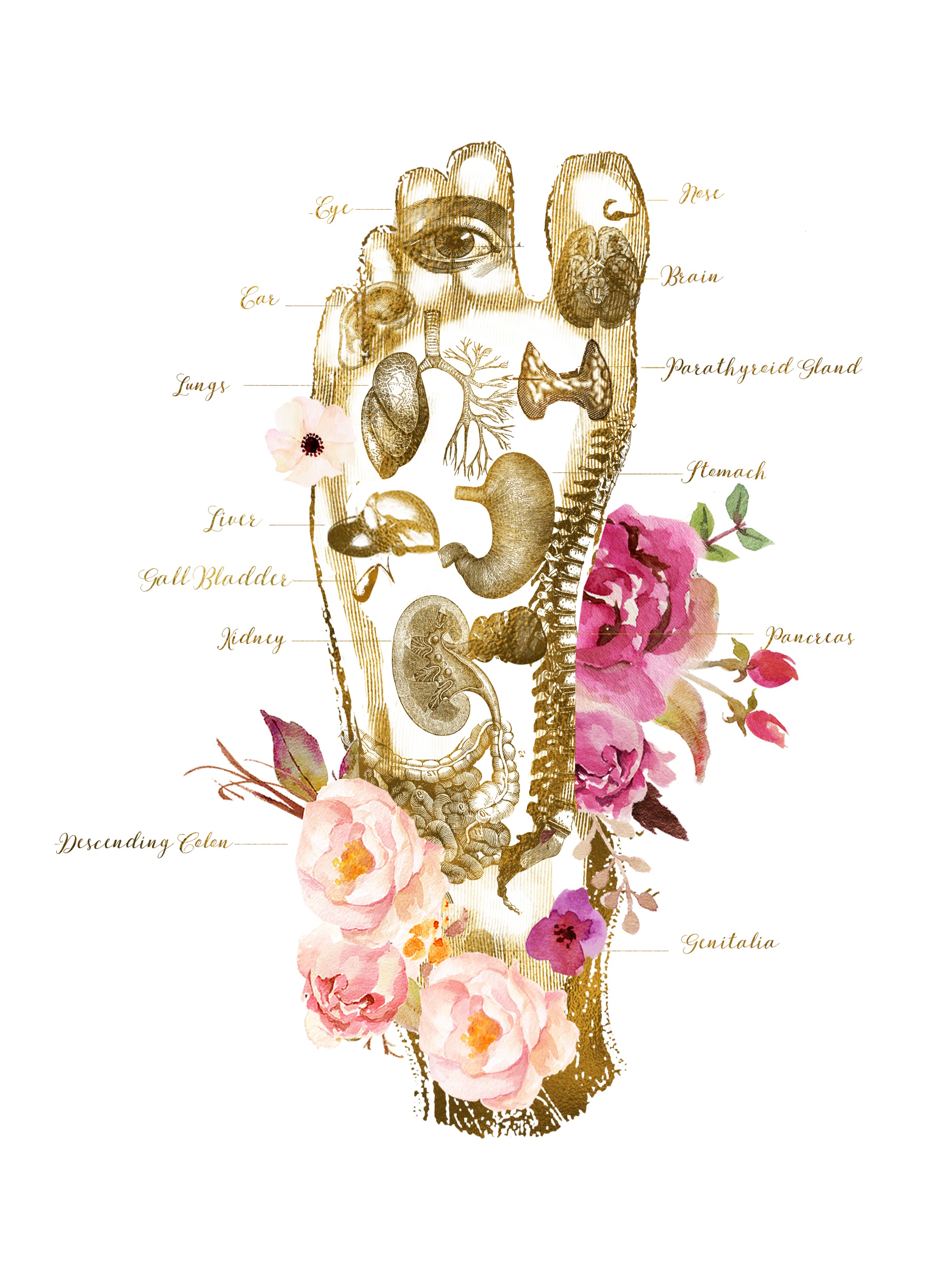 Book an appointment with me