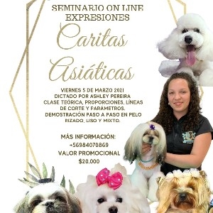 SEMINARIOS ONLINE thumbnail