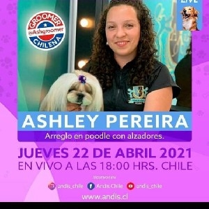 SEMINARIO GRATIS ANDIS CHILE thumbnail