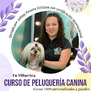 CURSO INICIO ONLINE thumbnail